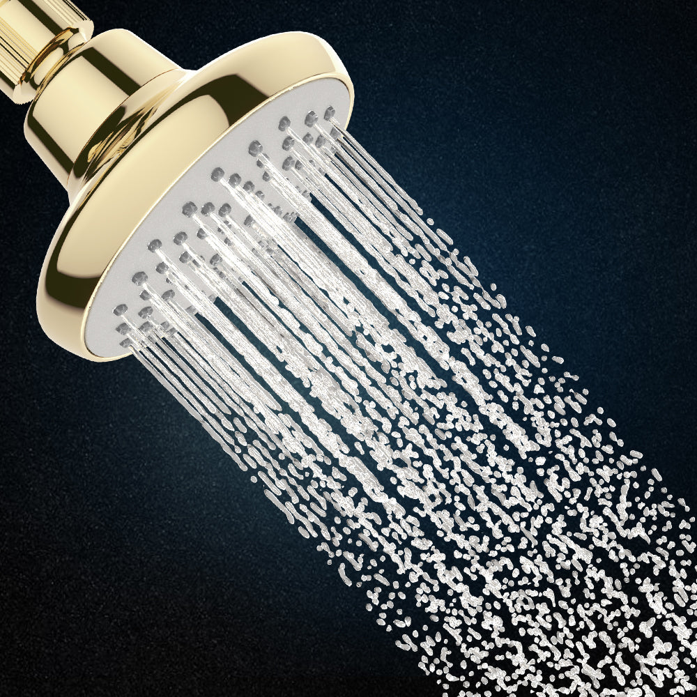 Complementary Single Spray Shower In French Gold Finish
