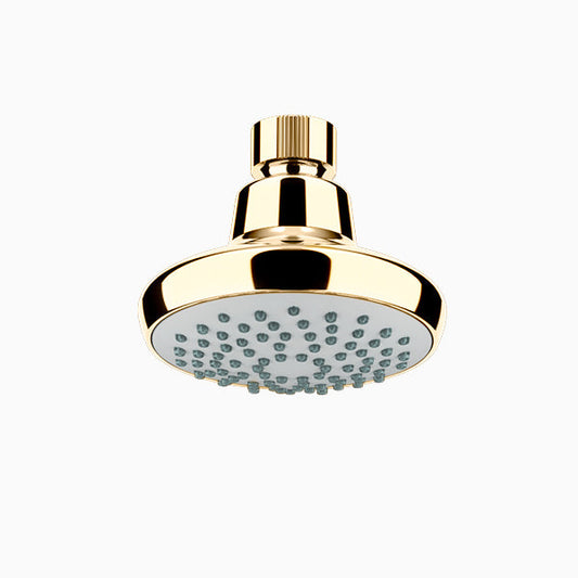 Complementary Single Spray Shower In French Gold Finish