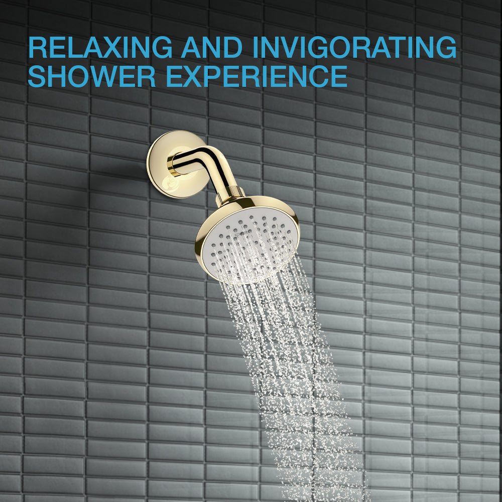 Complementary Single Spray Shower In French Gold Finish
