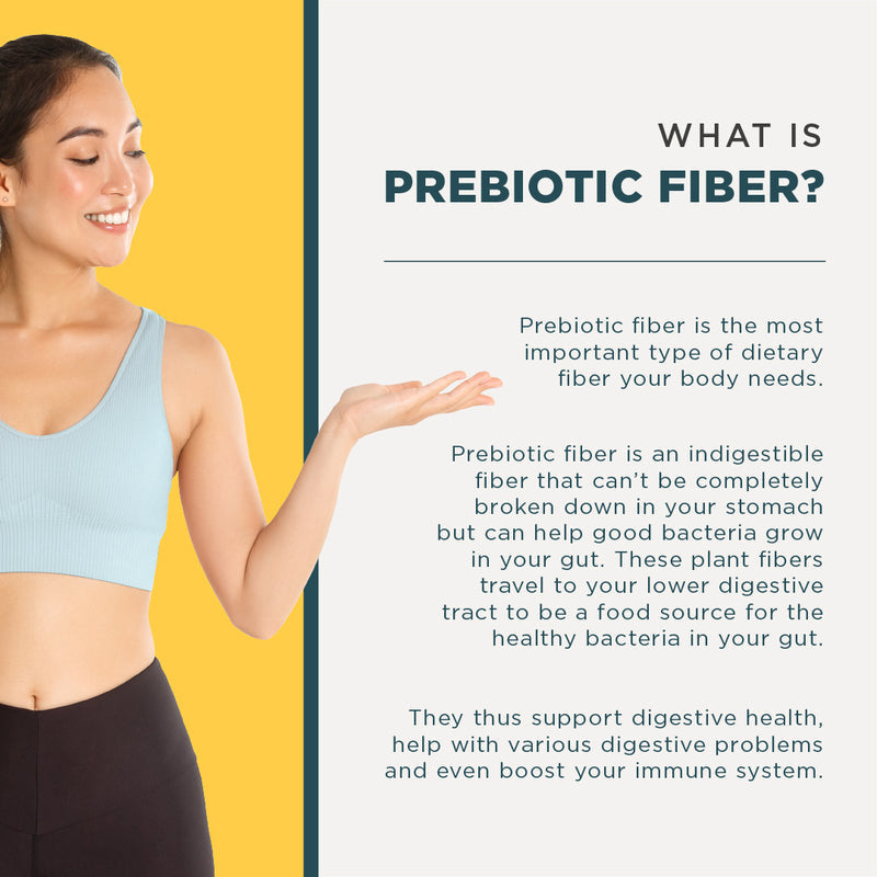 Daily Fiber | Pina Colada Flavor